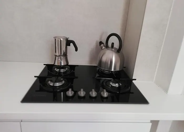 Alemanni House Apartament *